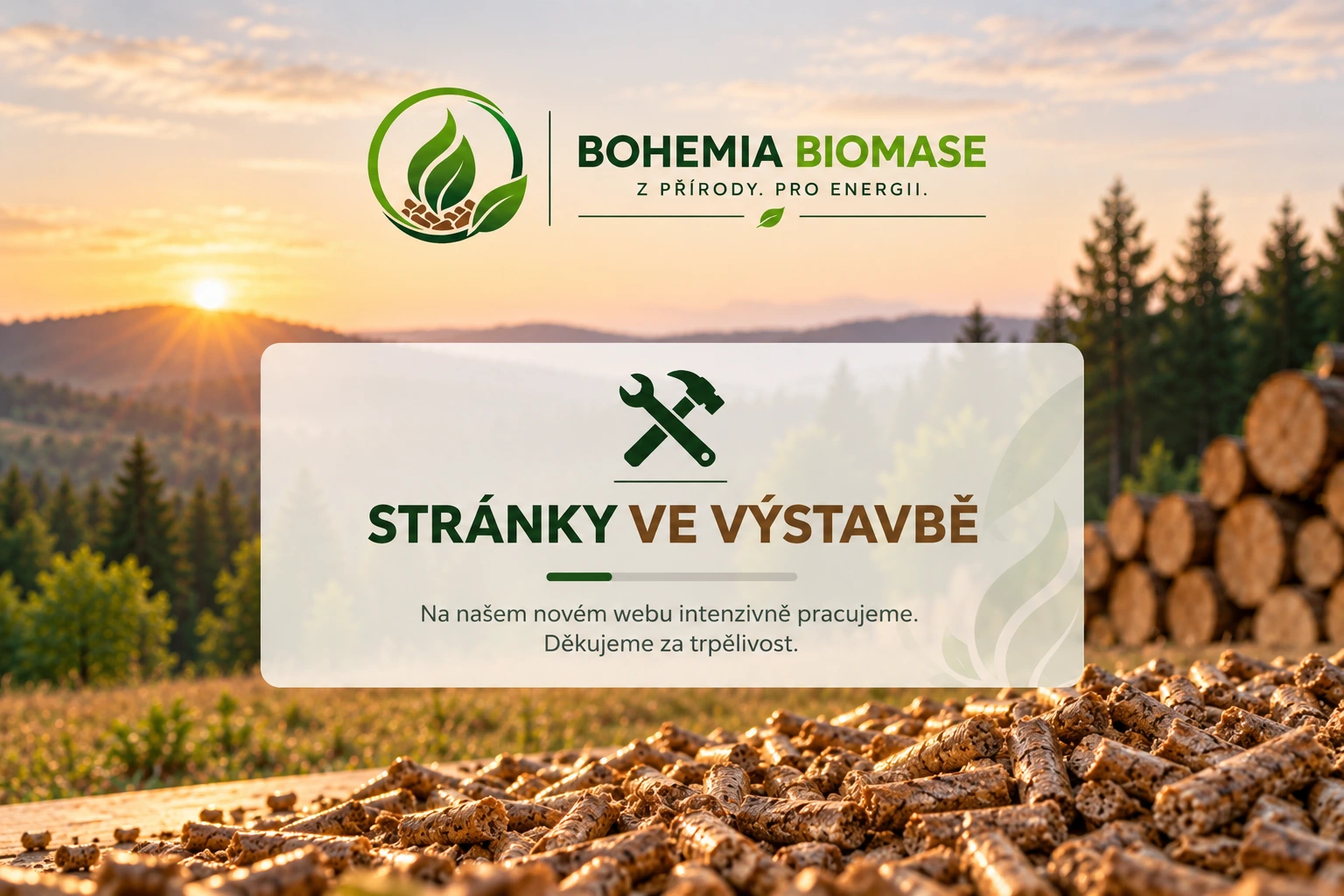Bohemia Biomase – web ve výstavbě